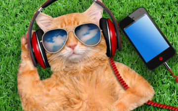 рыжий кот, наушники, очки, гаджет, смартфон, слушает музыку, смешные коты, зеленая трава, рыжий кот в наушниках слушает музыку, релакс