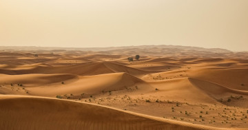 Обои на рабочий стол пейзаж, песок, Вади, Сахара, эоловый рельеф, теплый, erg, бесплатные изображения, географическая особенность, пустыня, среда обитания, дюны, пейзажи, рельеф местности, окружающая природа, поющий песок