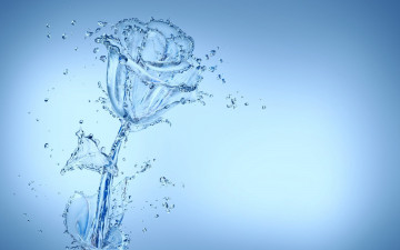 минимализм, фото, креатив, цветок, роза из каплей воды, синий фон, Minimalism, photo, creative, flower, rose from a drop of water, blue background