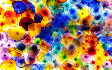 медузы, картинка, яркие обои для рабочего стола, Jellyfish, picture, bright wallpapers