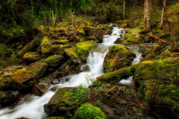Фото бесплатно водопад, зелень, речка, природа