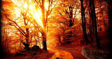 Обои на рабочий стол деревья, золотая осень, лодка, пейзаж, речка, лучи солнца