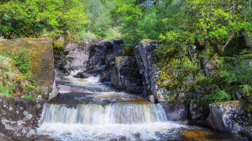природа, водопад, деревья, растения, Шотландия