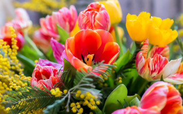 Весенний букет, весна, природа, листья, лепесток, свежесть, тюльпан, подарок, spring bouquet, spring, nature, leaves, petal, freshness, tulip, gift