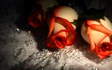 Фото бесплатно белый, красный, узор ,бутоны, цветы, розы, свадебное платье