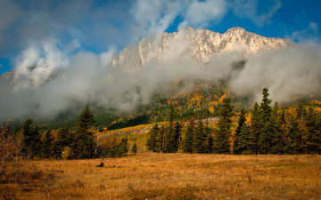 Фото бесплатно облака, осень, горы, туман, ёлки, пейзаж