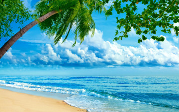 море, лето, пальмы, берег, песок, волны, отдых, острова, красивые обои, Sea, summer, palms, shore, sand, waves, rest, islands, beautiful wallpaper