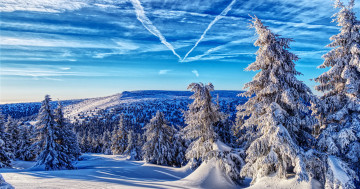 Обои на рабочий стол Jeseniky Mountains, Czech Republic, деревья, ели, зима, пейзаж, снег, горы