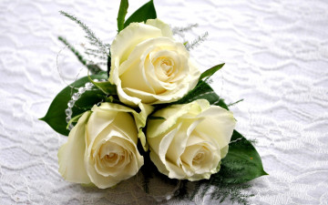белые розы, свадебный букет, бутоны, фото, обои, красивые заставки, White roses, wedding bouquet, buds, photo, wallpaper, beautiful screensavers