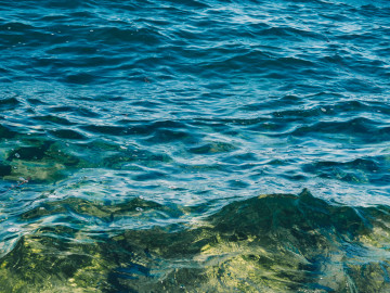 Фото бесплатно океан, волны, чистая вода