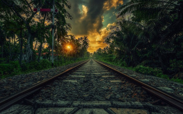 Фото бесплатно железная дорога, рельсы, природа, закат, путешествие, пальмы, тропики