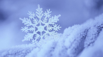 Фото бесплатно снежинки, зима, природа, макро, орнамент, снег, мороз