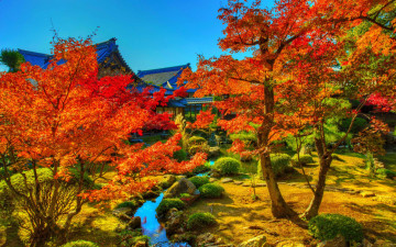 2560х1600 hdr, осенний пейзаж в Японии, красивый фон на заставку