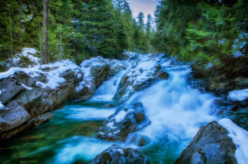 Фото бесплатно поток, ручей, лес, водопад
