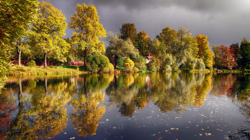 осенний пейзаж, озеро, отражение деревьев в воде, утки, желтые листья, autumn landscape, lake, reflection of trees in the water, ducks, yellow leaves