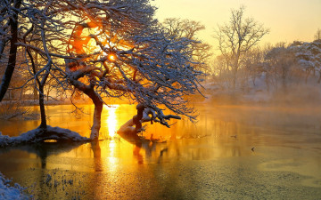 пейзаж, зимнее утро, восход солнца, замерзшая река