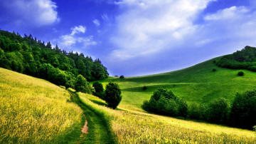 природа, холмы, тропинка, пейзаж, лето, лес, зелень, небо, 3840х2160, 4к