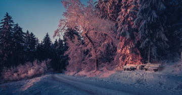 Обои на рабочий стол зима, закат, дорога, Оденвальд, лавочка, пейзаж, лес, деревья, снег, Германия