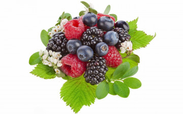 ягоды, витамины, полезная для организма еда, обои скачать, Berries, vitamins, healthy food, wallpaper download