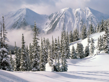 зимний пейзаж, горы, снег, елки в снегу, красивые обои, winter landscape, mountains, snow, trees in the snow, beautiful wallpaper