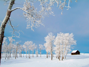 зима, снег, деревья, иний, избушка, заставки, winter, snow, trees, iny, hut, screensavers
