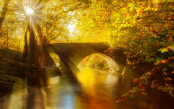 осенний пейзаж, лучи солнца, мост через реку в парке