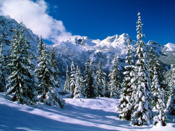 зима, горы, елки, снег, день, ясно, обои скачать, winter, mountains, trees, snow, day, clear, wallpaper download
