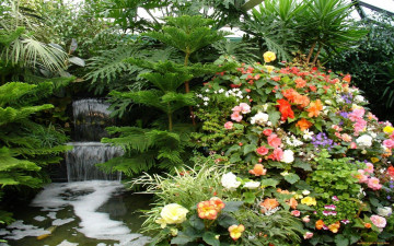 природа, цветы, водопад, растения, шикарные обои на рабочий стол, Nature, flowers, waterfall, plants, elegant wallpapers