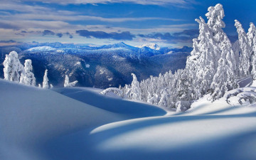 зима, природа, снег, деревья в снегу, зимний пейзаж