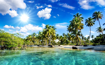 море, пальмы, солнце, лето, берег, отдых, природа, красивые обои на рабочий стол, sea, palm trees, sun, summer, beach, vacation, nature, beautiful wallpapers on your desktop