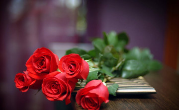 красные розы, букет, бутоны, цветы, макро, очень красивые обои, Red roses, bouquet, buds, flowers, macro, very beautiful wallpaper