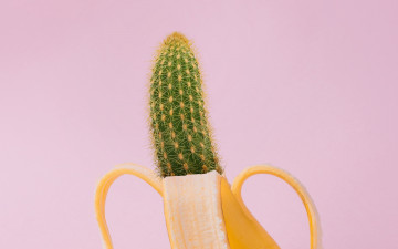 кактус в банане, креатив, минимализм, 4К обои, Cactus in banana, creative, minimalism, 4k wallpaper 3840х2400