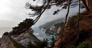 Калифорния, море, скалы, горы, ветки, природа, побережье
