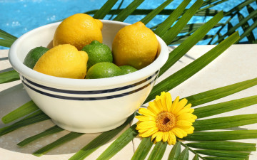еда, лимоны, лаймы в миске, лето, курорты, желтый цветок, зеленый лист
