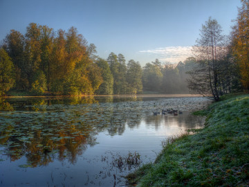 Фото бесплатно река, туман, утро, рассвет, осень, деревья, природа, дикие утки
