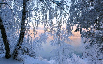 зима природа деревья покрытые инеем замерзшее озеро