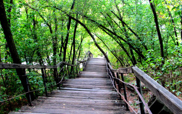 парк, город, деревянный мост, деревья, лето, перила, природа, 3840х2400, 4к обои