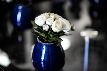 белые розы в вазе, цветы