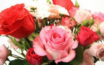 розы, бутоны, букет, цветы, красивые обои на рабочий стол, Roses, buds, bouquet, flowers, beautiful wallpapers