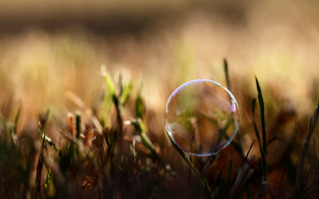 мыльный пузырь, трава, растения, размытость, шар, макро, обои скачать, bubble, grass, plant, blur, ball, macro, wallpaper download