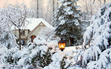 зимний сад, загородный дом, фонарь, вечер, деревья в снегу, пейзаж, winter garden, country house, lantern, evening, trees in the snow, landscape