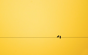 минимализм, птички на веревке, желтый фон, обои на рабочий стол, Minimalism, birds on a rope, yellow background, wallpapers