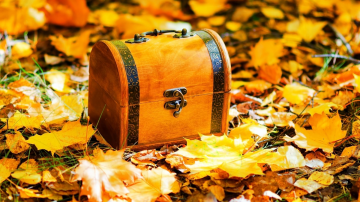 желтый деревянный сундук в желтых листьях, осень, природа