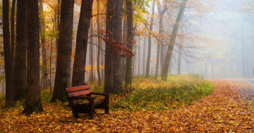 Обои на рабочий стол деревья, парк, пейзаж, осень, лавочка, листопад