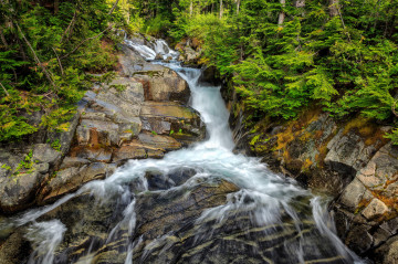 Фото бесплатно зелень, зеленая листва, обрыв, водопад, скалы