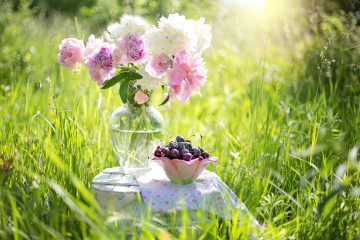 летние цветы, ваза с цветами, фрукты, лето, трава, натюрморт в траве
