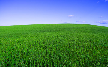 зеленая трава, горизонт, голубое небо, природа, лето, красивые обои, Green grass, horizon, blue sky, nature, summer, beautiful wallpaper