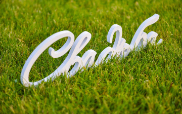 2650х1600 Слово "Свадьба" на зелёной траве