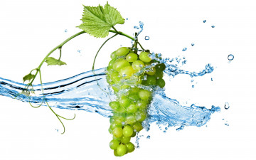 1920х1200, виноград, зеленый, гроздь, макро, вода, брызги, капли, белый фон, grapes, green, bunch, macro, water, spray, drops, white background