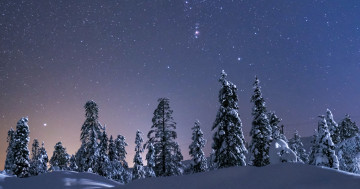 Обои на рабочий стол Shine, зима, ночь, пейзаж, снег, деревья, звезды, луна, небо
